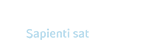 webmoney-logo